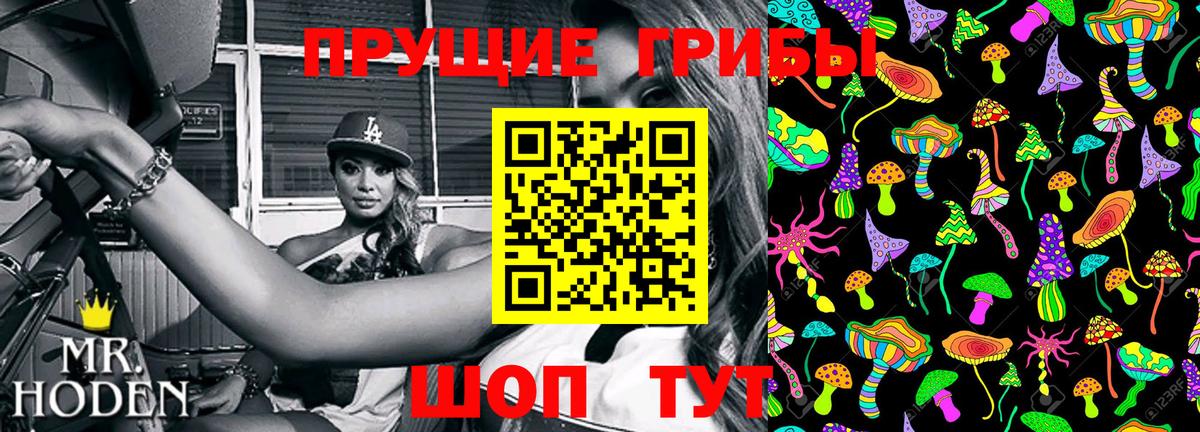 Ижевск  Галлюциногенные грибы прущие грибы  Вход с VPN 